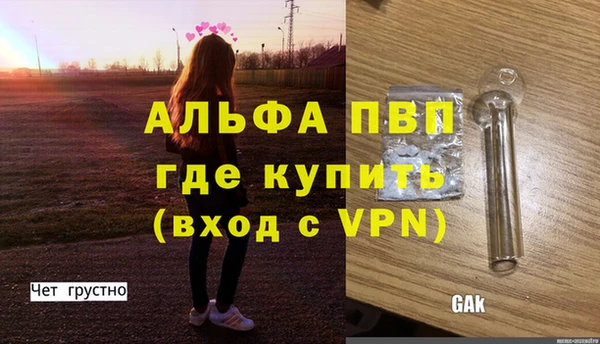 крисы Медвежьегорск