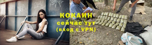 винт Майский