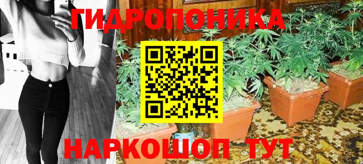 Шишки марихуана конопля Комсомольск-на-Амуре